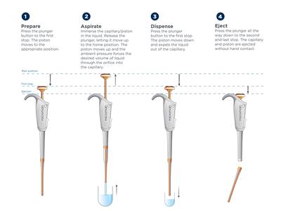 Rys. 2 Etapy pobierania cieczy, dozowania i wyrzutu końcówki CP Rys. 2 Etapy pobierania cieczy, dozowania i wyrzutu końcówki CP