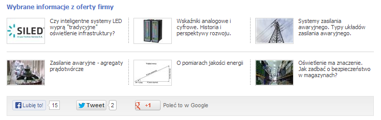 Dolna część wizytówki firmy (pakiet Starter lub wyższy, elektroinzynieria.pl)