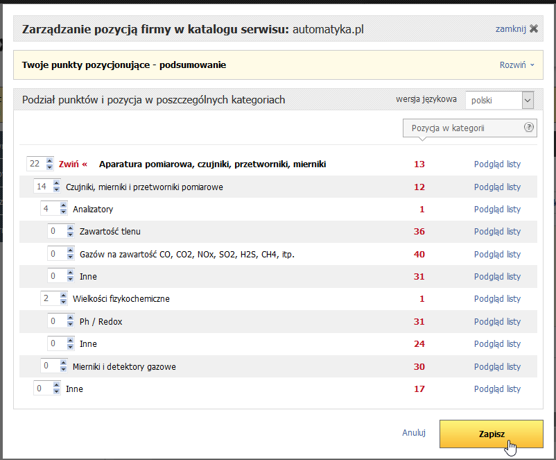 Pozycjonowanie firmy w wybranym Serwisie