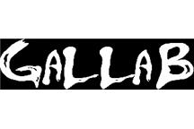 Logo firmy GALLAB Grzegorz Liwski - laboratoria.xtech.pl GALLAB Grzegorz Liwski - logo firmy w portalu laboratoria.xtech.pl
