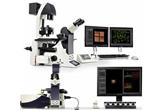 Leica HCS A - oprogramowanie mikroskopowe Leica HCS A - oprogramowanie mikroskopowe