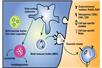 exosome