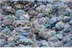Nowy biomateriał może zastąpić plastikowe laminaty
