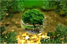Fot. Pixabay CC0 Fot. Pixabay CC0