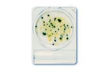 ► Testy na bakterie CompactDry
