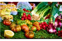 Matematycznie modelowana, zdrowa dieta Matematycznie modelowana, zdrowa dieta