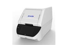 real time PCR