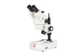 Mikroskop stereoskopowy SMZ-160-TLED