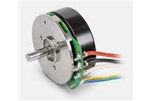 ECX FLAT 42 S