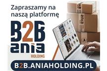 B2B Ania Holding – Twój partner w zakupach artykułów elektrotechnicznych