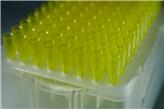 Końcówki do pipet automatycznych OMNITIP 1-200 µl (różne rodzaje/formy pakowania)