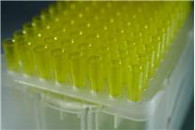 Końcówki do pipet automatycznych OMNITIP 1-200 µl (różne rodzaje/formy pakowania)