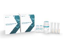 ExTransfection Kit (100 μL)