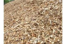 Biomasa - ciepło spalania i wartość opałowa