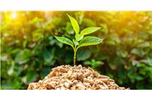 Biomasa - analiza zawartości chloru