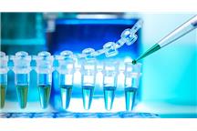 calendarEntry.Name