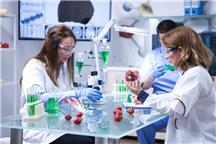 Znaczenie młynków laboratoryjnych w analizie próbek materiałowych