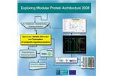 Exploring Modular Protein Architecture