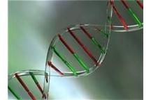Najstarsze odkodowane DNA