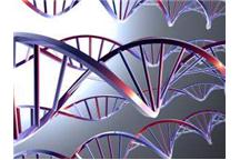 Biotechnologia może zredukować emisję dwutlenku węgla