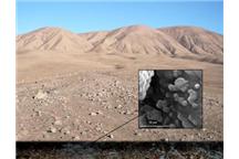 Superodporne organizmy pod pustynią Atacama