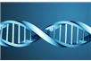 DNA.jpg