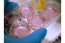 Euroimplant ma patent na nowoczesny Bioreaktor