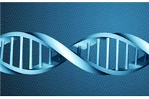 Identyfikacja zwłok ludzkich a badania DNA