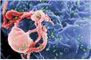 Wirus HIV (CDC Public Health Image Library)