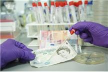 Jakie i ile bakterii znajduje się na europejskich banknotach?