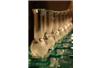 Profesor Matyjaszewski laureatem nagrody Green Chemistry Challenge Awards