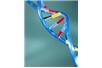 DNA ułatwia otrzymywanie nanostruktur