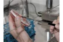 Regionalne Laboratorium Oceny Mleka w Tarnowie przejęte przez spółkę AZOTÓW Tarnów Regionalne Laboratorium Oceny Mleka w Tarnowie przejęte przez spółkę AZOTÓW Tarnów