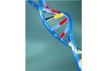 DNA ułatwia otrzymywanie nanostruktur