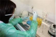 Otwarcie pracowni Real Time - PCR w WSSE w Katowicach