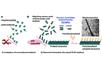 Foto: National Institute for Materials Science/Science Daily
