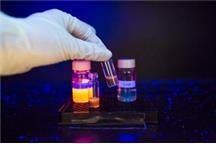 Fluorescencyjny wykrywacz „pigułki gwałtu"