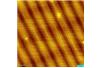 Europejskie Centrum Bio- i Nanotechnologii w Łodzi