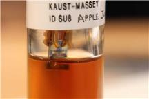 Źródło: massey.ac.nz