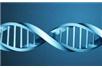 Uruchomiono pierwszy w Polsce bank DNA