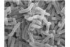 Nanomateriały sposobem na bakterie odporne na antybiotyki