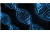Stabilna forma życia z syntetycznym DNA