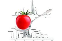Spektrometr NMR jako „magnetyczny język” Spektrometr NMR jako „magnetyczny język”